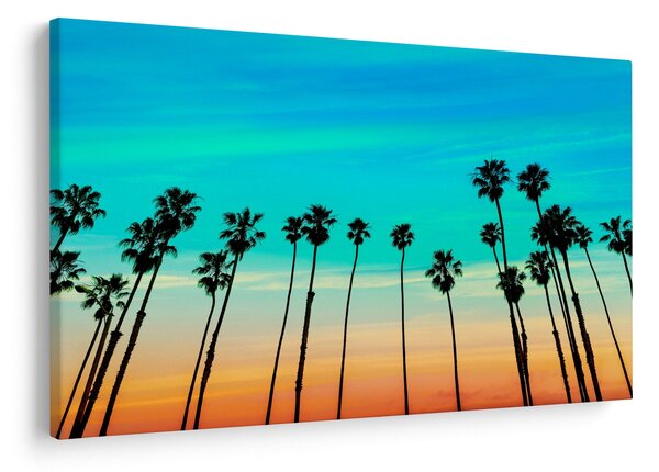 Kép - Kalifornia (90x60 cm)