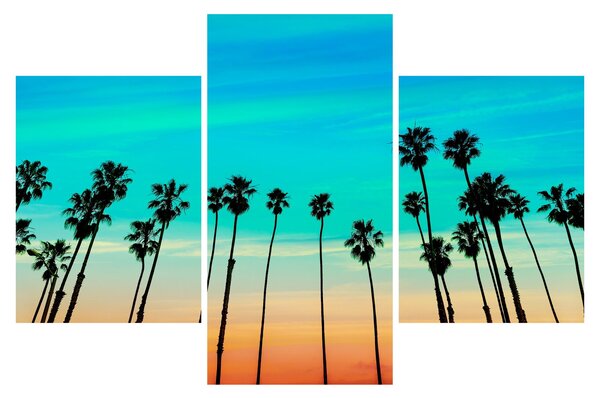 Kép - Kalifornia (90x60 cm)