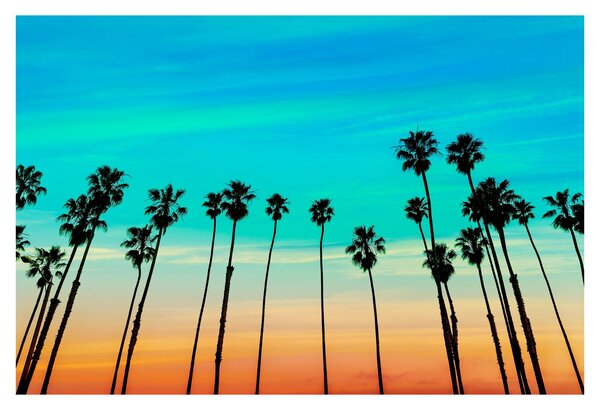Kép - Kalifornia (90x60 cm)