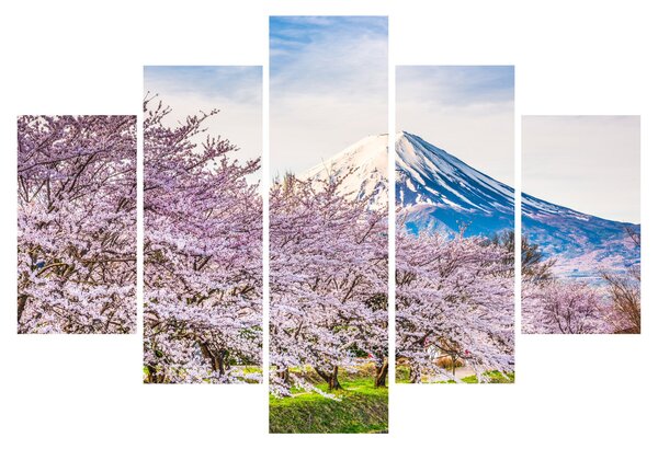 Kép - Japán tavasszal (150x105 cm)