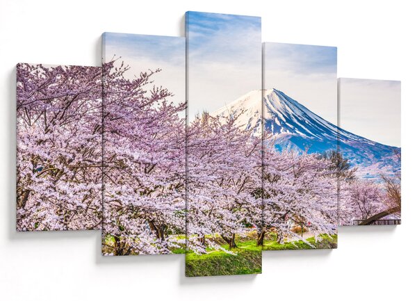 Kép - Japán tavasszal (150x105 cm)