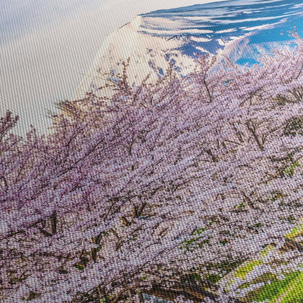 Kép - Japán tavasszal (90x60 cm)