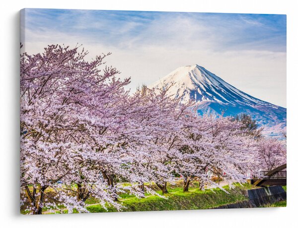 Kép - Japán tavasszal (70x50 cm)