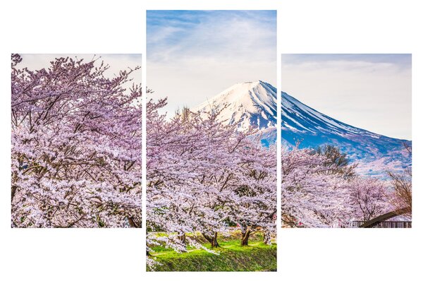 Kép - Japán tavasszal (90x60 cm)