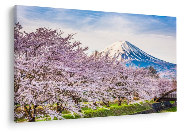 Kép - Japán tavasszal (90x60 cm)
