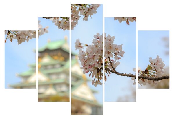 Kép - Sakura (150x105 cm)