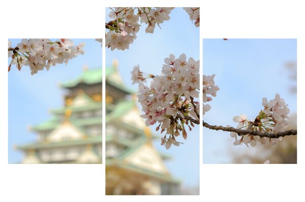 Kép - Sakura (90x60 cm)