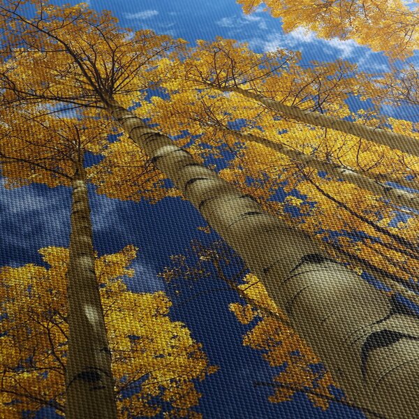 Kép - Aspen (150x105 cm)