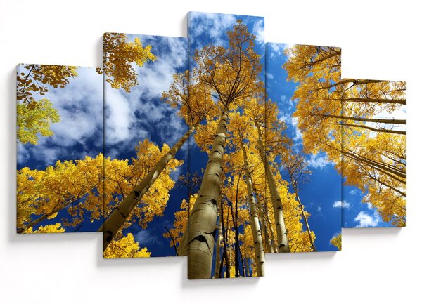 Kép - Aspen (150x105 cm)