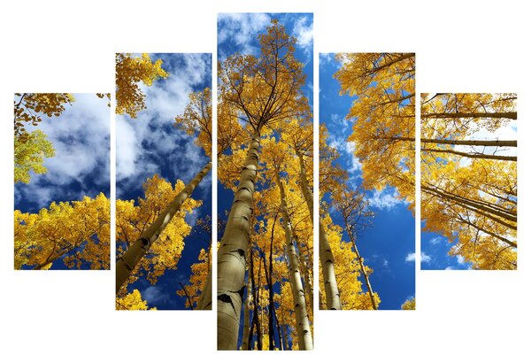 Kép - Aspen (150x105 cm)