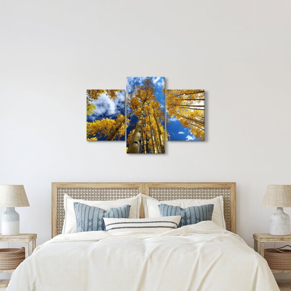 Kép - Aspen (90x60 cm)