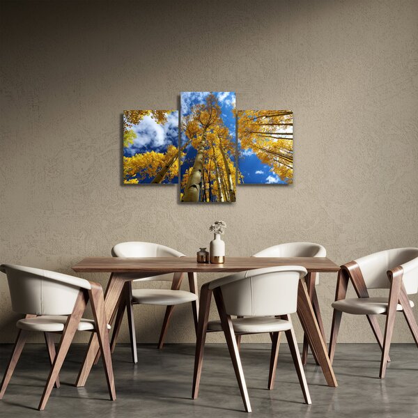 Kép - Aspen (90x60 cm)