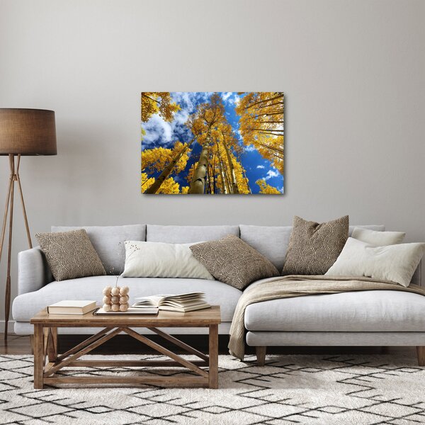 Kép - Aspen (70x50 cm)
