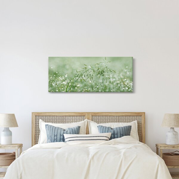 Kép - Reggeli harmat a fűszálakon (120x50 cm)