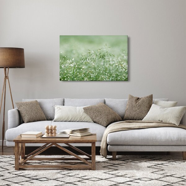 Kép - Reggeli harmat a fűszálakon (90x60 cm)