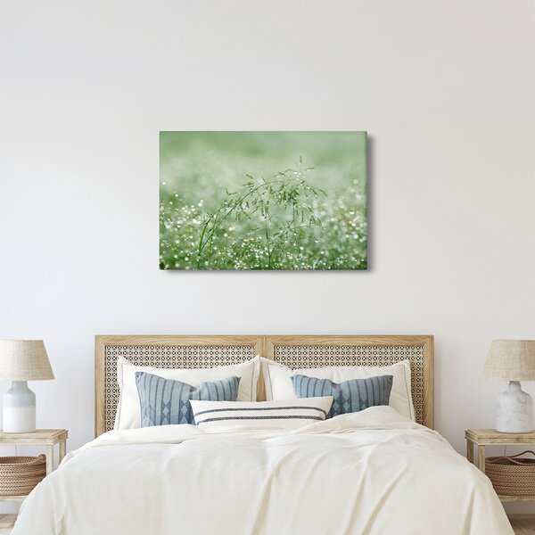 Kép - Reggeli harmat a fűszálakon (90x60 cm)