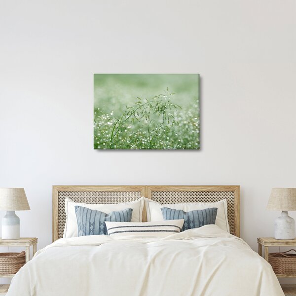 Kép - Reggeli harmat a fűszálakon (70x50 cm)