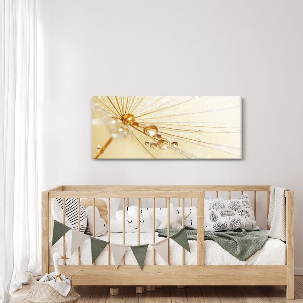 Kép - Makro fotó pitypangról (120x50 cm)