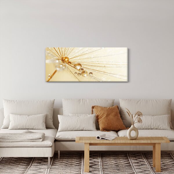 Kép - Makro fotó pitypangról (120x50 cm)