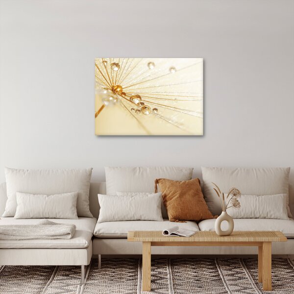 Kép - Makro fotó pitypangról (70x50 cm)