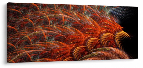 Kép - Absztrakt toll utánzat (120x50 cm)