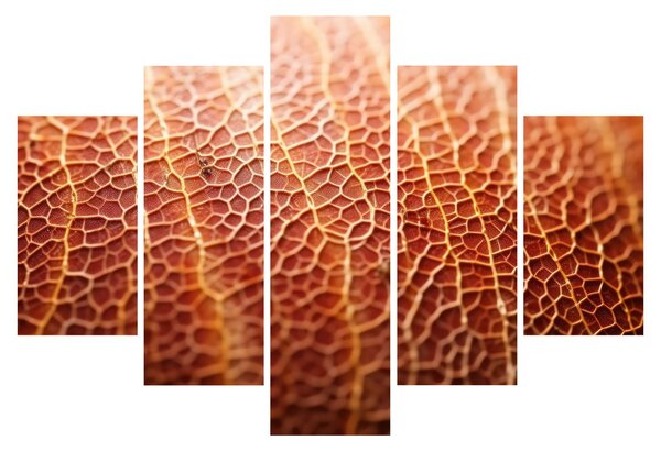 Kép - Textúra részlet (150x105 cm)