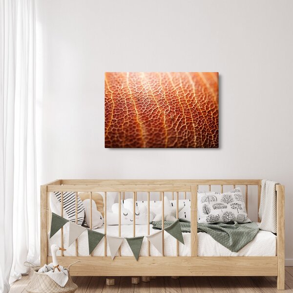 Kép - Textúra részlet (90x60 cm)