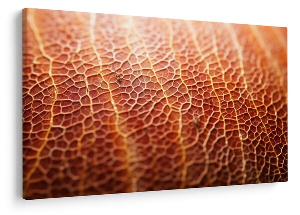 Kép - Textúra részlet (90x60 cm)