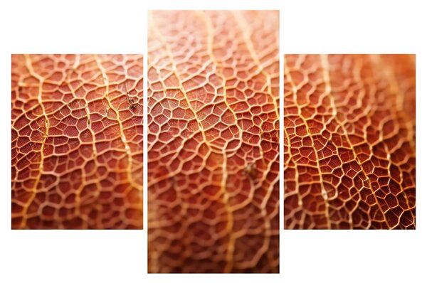 Kép - Textúra részlet (90x60 cm)