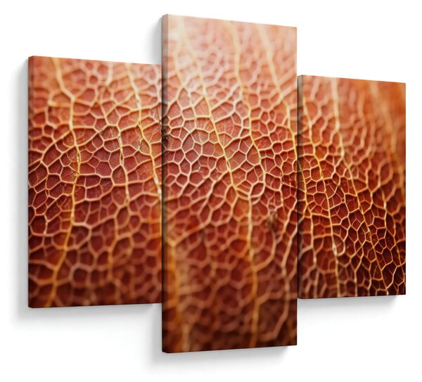 Kép - Textúra részlet (90x60 cm)