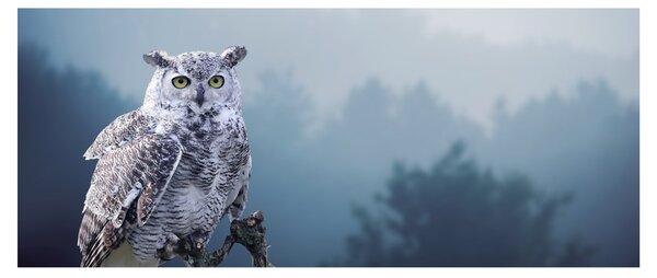 Kép - Hóbagoly (120x50 cm)