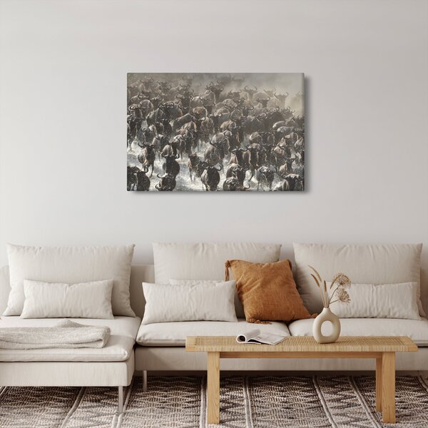 Kép - Gnúcsorda (90x60 cm)