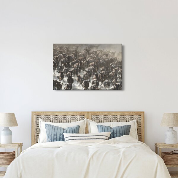 Kép - Gnúcsorda (90x60 cm)