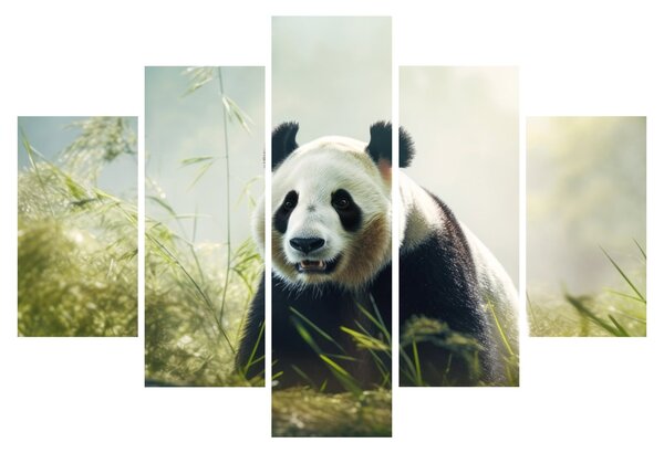 Kép - Panda (150x105 cm)