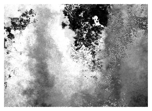 Kép - Kikeltetés (70x50 cm)