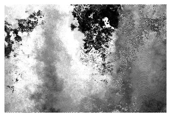 Kép - Kikeltetés (90x60 cm)
