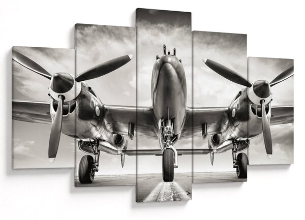 Kép - Warbird (150x105 cm)