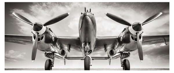Kép - Warbird (120x50 cm)