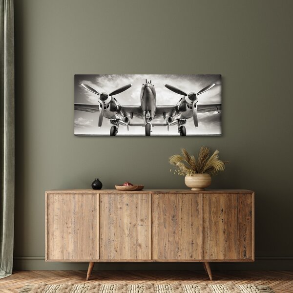 Kép - Warbird (120x50 cm)
