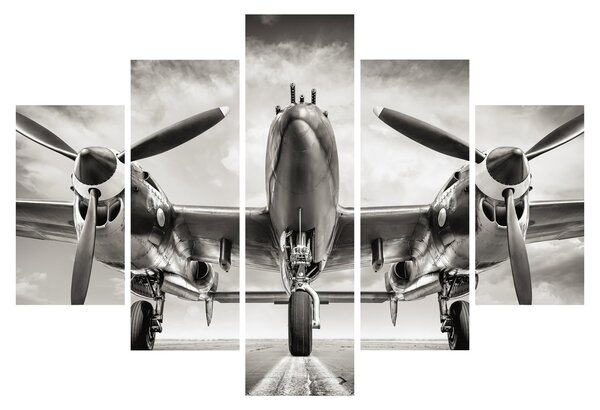 Kép - Warbird (150x105 cm)
