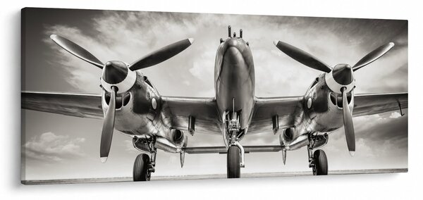 Kép - Warbird (120x50 cm)