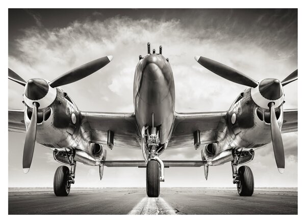 Kép - Warbird (70x50 cm)