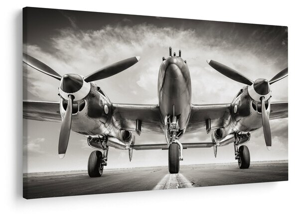 Kép - Warbird (90x60 cm)