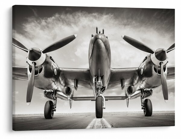 Kép - Warbird (70x50 cm)