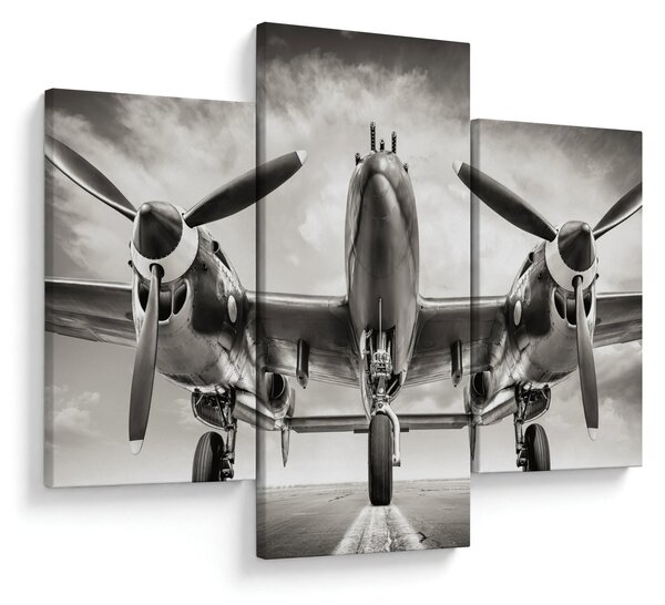 Kép - Warbird (90x60 cm)