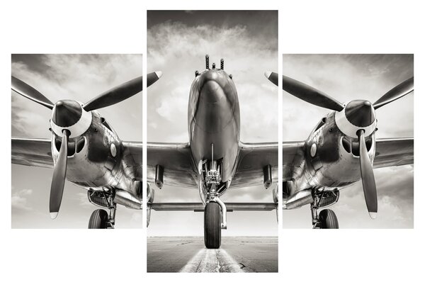 Kép - Warbird (90x60 cm)