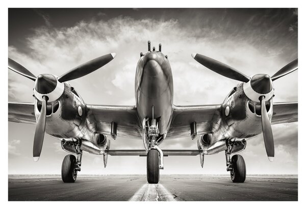 Kép - Warbird (90x60 cm)