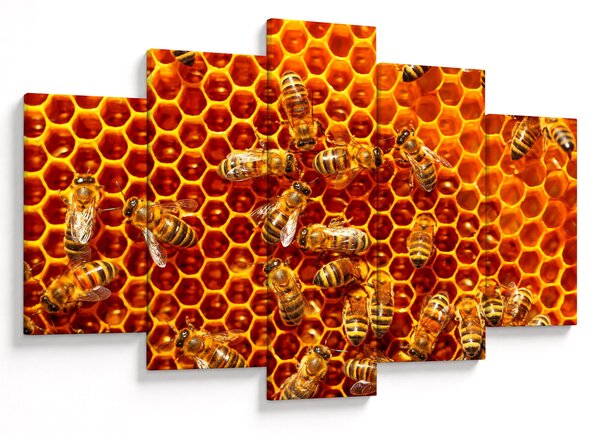Kép - Méhsejtes (150x105 cm)