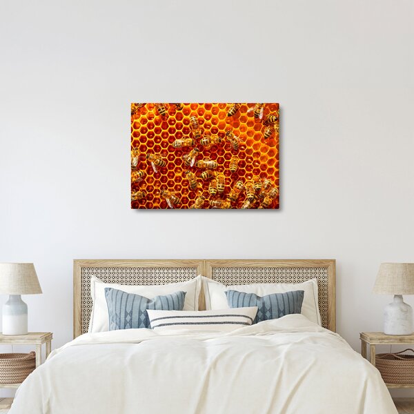 Kép - Méhsejtes (70x50 cm)