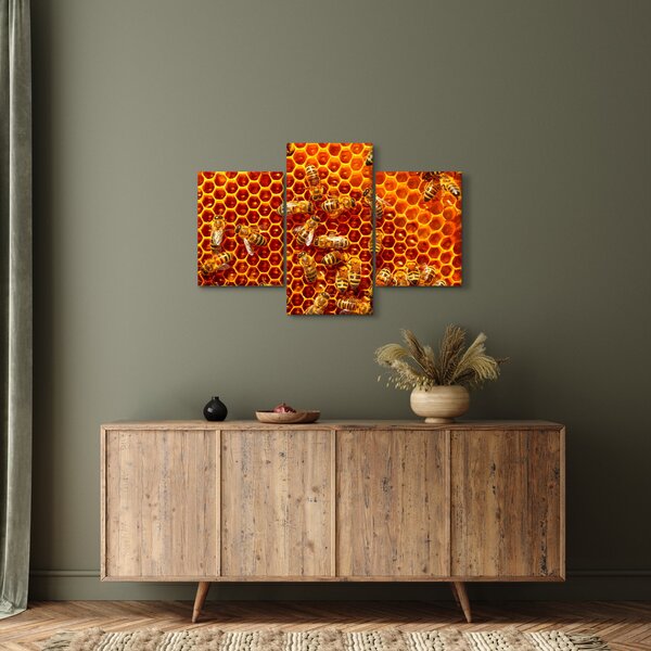 Kép - Méhsejtes (90x60 cm)